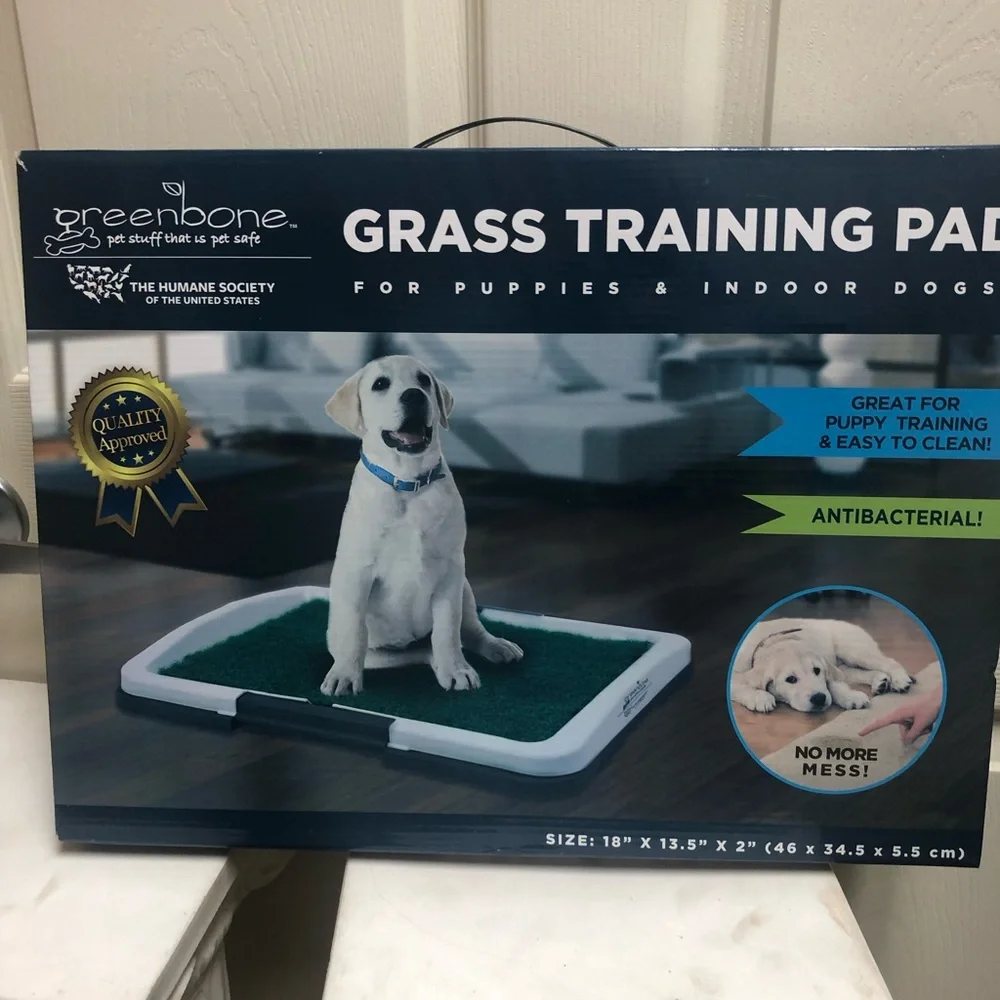 PetSafe Green Housebreaking Training Pad for Dogs
